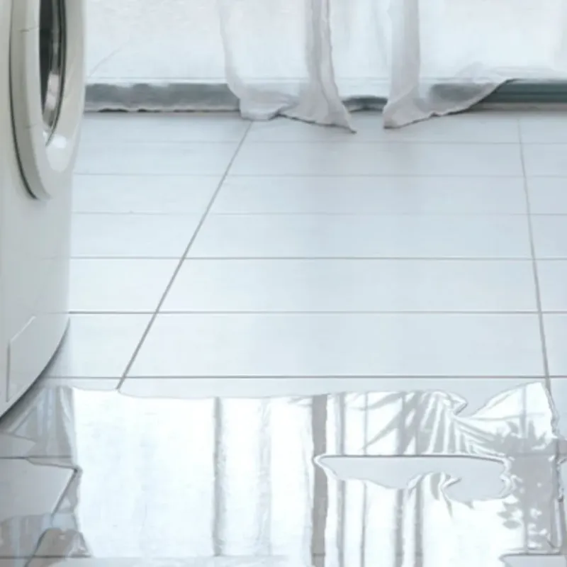 Appliance Leak Cleanup in East Rutherford, NJ
