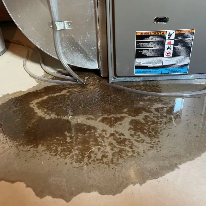Pipe Burst and Leak Restoration in East Rutherford, NJ